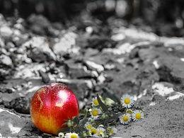 红网夏红,聚焦时代脉搏，讲述中国故事