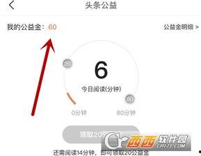 今日头条怎么捐赠粮食,携手共筑粮食捐赠爱心桥梁