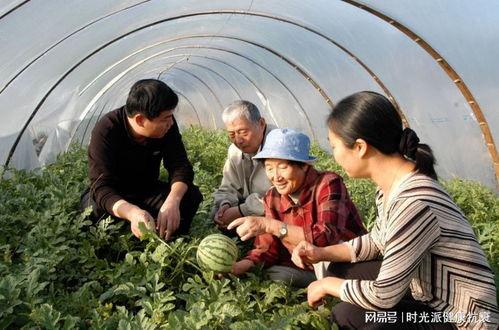新疆的吃瓜事件视频,一场误会引发的舆论风波