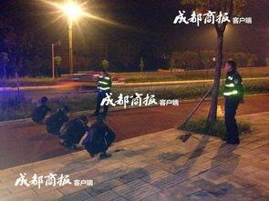 四川夜晚网红视频大全,网红视频带你领略巴蜀风情