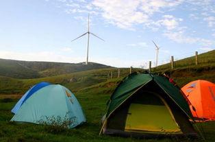 郴州露营爆料事件最新情况,真相揭晓，后续处理引关注