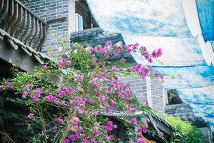 周边网红景点沈阳附近,沈阳周边网红景点探秘之旅