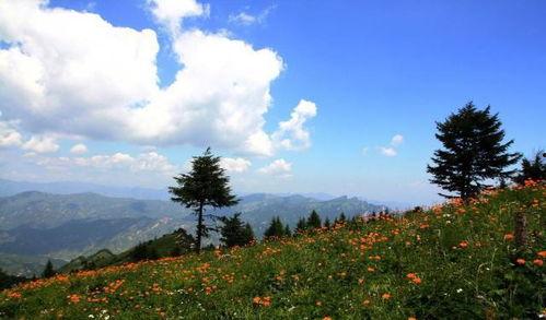 驼梁头条,聚焦热点，解码社会现象