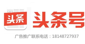 玉舍镇新闻今日头条,聚焦乡村振兴，共绘美好家园新画卷