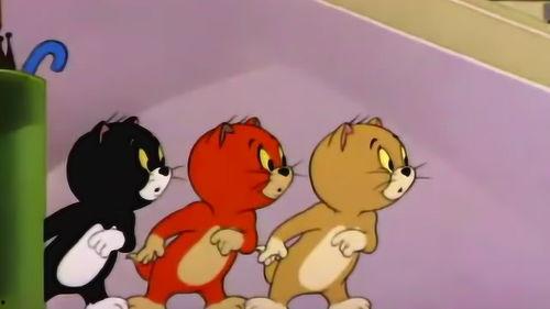 猫和老鼠小猫吃瓜,猫鼠间的欢乐对决