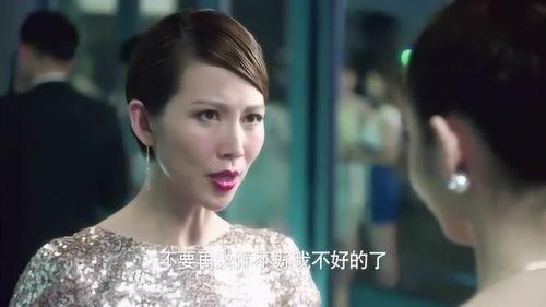 东北女明星喝酒视频,酒香四溢引网友热议