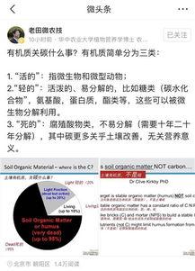 微头条发得越多越好,打造个人影响力新高峰！”