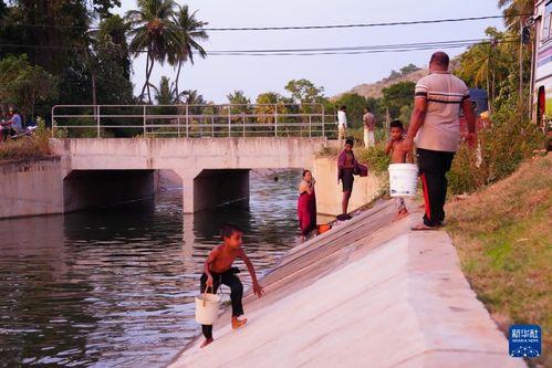 延边水渠新闻头条,助力区域水利发展，保障民生用水