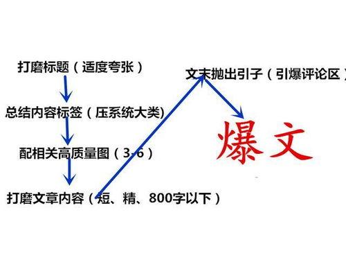 刷头条的用户标签,洞察个性化内容推荐背后的秘密
