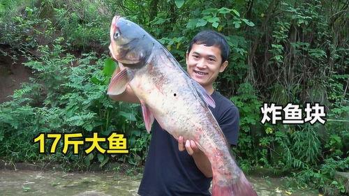 吃瓜后能吃鱼吗,鱼儿也来凑热闹？揭秘吃瓜与吃鱼的奇妙关系