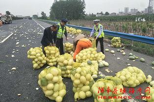 盐城吃瓜群众1号