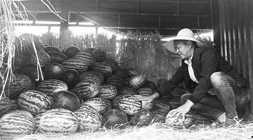 定兴吃瓜群众事件视频,一场网络舆论的风暴与反思