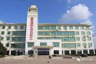 青岛城阳夏庄头条,聚焦发展热点，共话未来蓝图