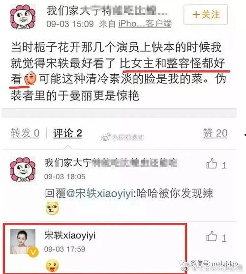 有关宋轶的爆料视频播放,揭秘娱乐圈幕后真相