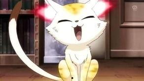 达鲁伊教学瓜老师,瓜老师带你领略自然魔法魅力