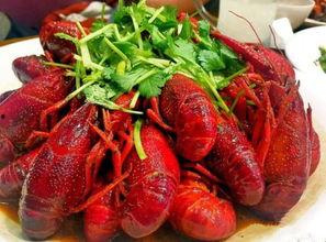 金堂网红小龙虾,舌尖上的美食传奇