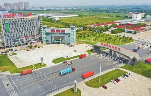 安徽芜湖自贸区新闻头条,聚焦创新发展，打造区域经济新引擎