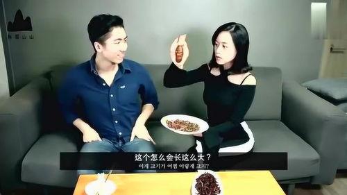 当明星挑战吃蚕蛹,勇敢尝鲜蚕蛹大挑战