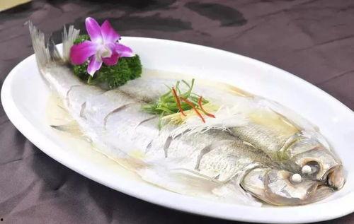 吃瓜吃的要进白鱼泡了,险些“泡白鱼”的惊险经历