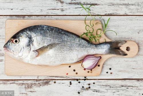 八瓜鱼足怎么吃