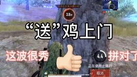 马大哈吃麻瓜,马大哈的麻瓜冒险之旅