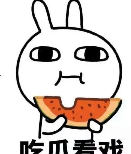吃瓜小结