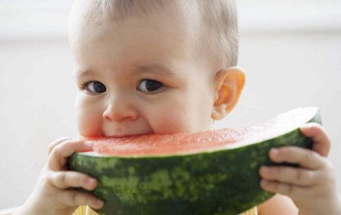 婴儿可以吃瓜,瓜类美食的引入与制作