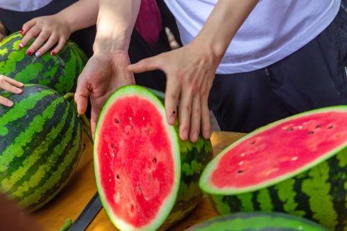 璇子吃瓜,揭秘娱乐圈幕后故事