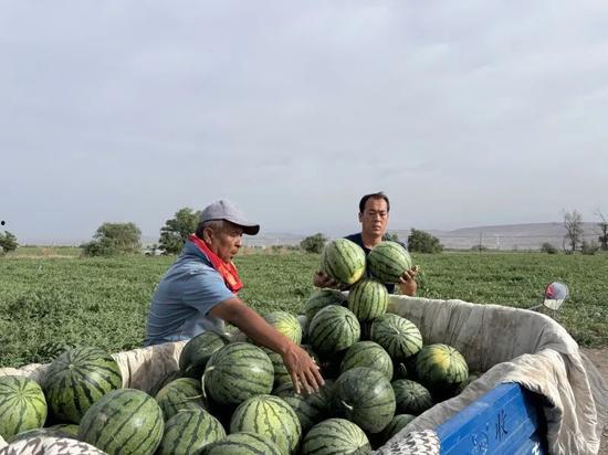 在旅游团里吃瓜,一场意外的美食之旅