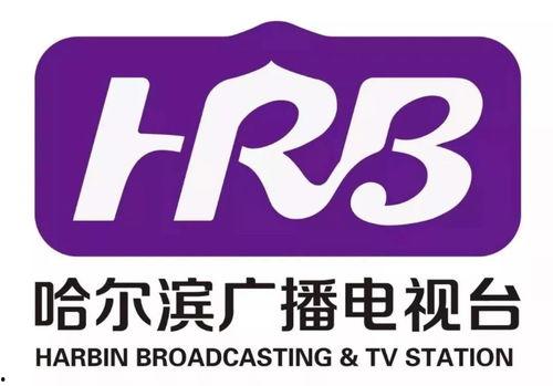 哈尔滨太平新闻今日头条,聚焦区域发展新动态