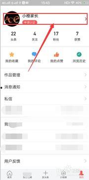 头条设置超长名字怎么改,揭秘超长名字背后的科学秘密与人类智慧