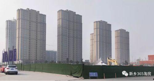 新乡多吉网红,网络红人背后的故事与影响力”