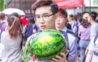 天津大学免费吃瓜