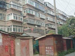 小梁庄社区新闻头条,聚焦社区发展新动态