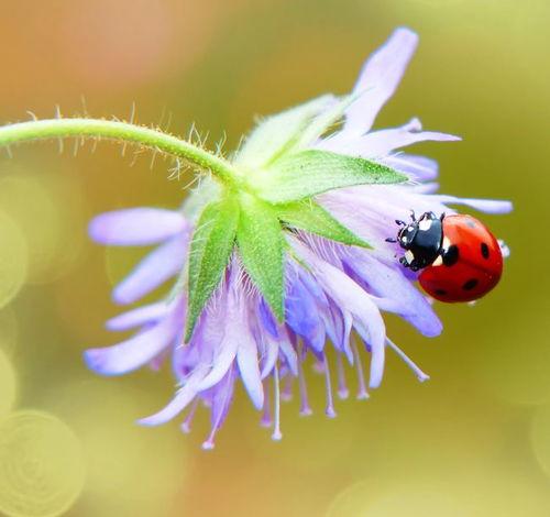 2018明星恋情6,甜蜜瞬间与浪漫故事
