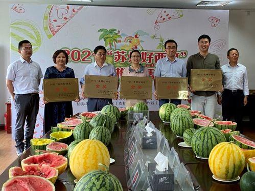 江苏常熟山上吃瓜