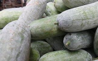 生冻瓜怎么吃,生冻瓜的多样食用方法与美味探索