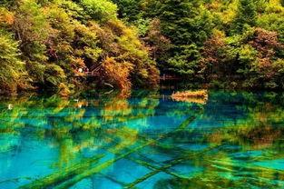 头条九寨沟风光,大自然的调色板，人间仙境的绝美画卷