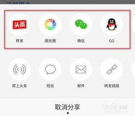 转发头条图片的功能,共享精彩瞬间——探索头条图片转发新功能”
