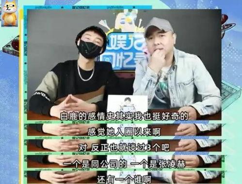 刘大锤今日爆料,揭秘今日热点事件内幕