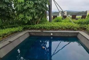 版纳网红泳池餐厅在哪里,探寻热带风情中的美食天堂